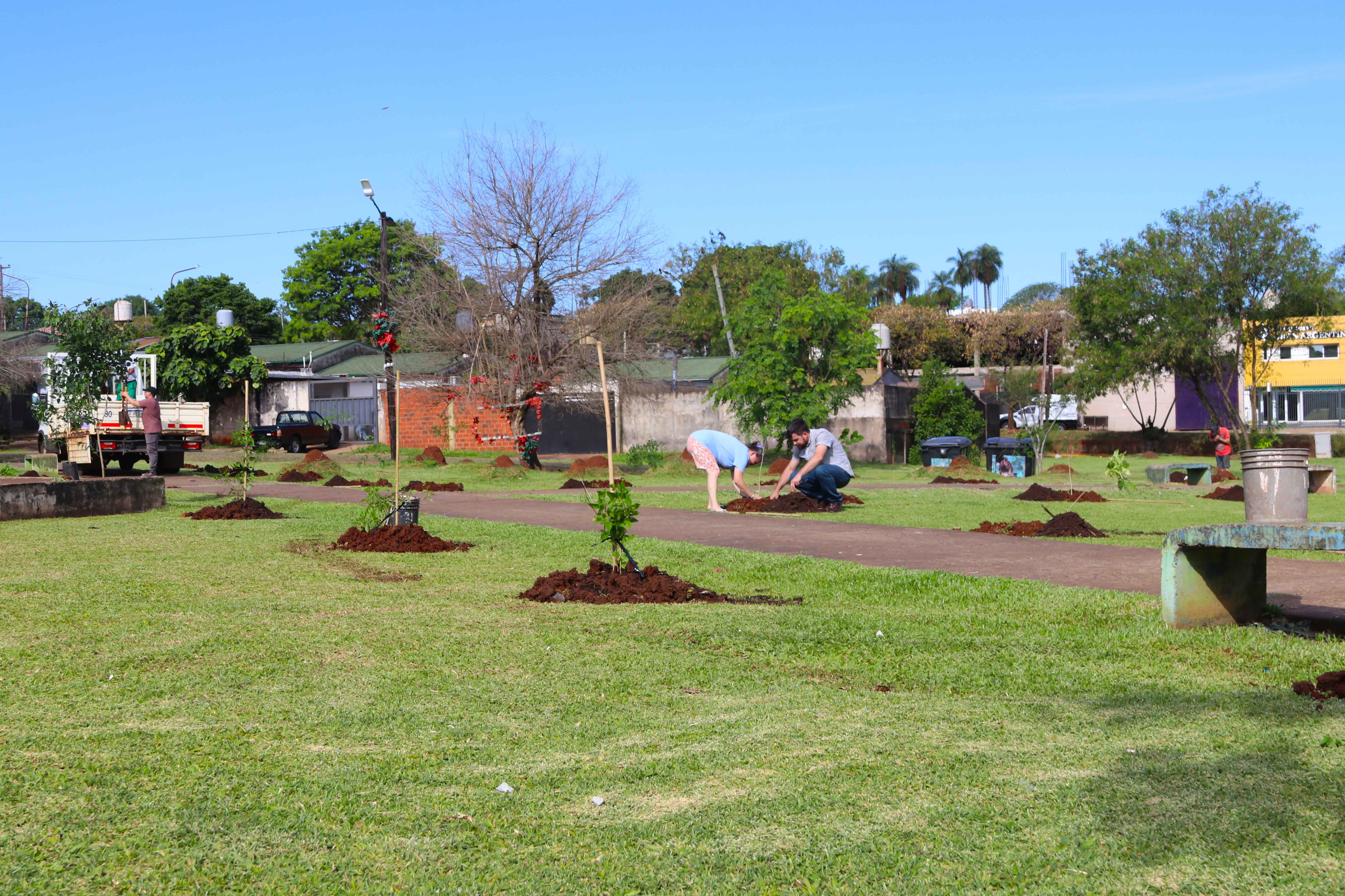 <p>"Barrios Más Verdes" realizó otra exitosa plantación de árboles</p>